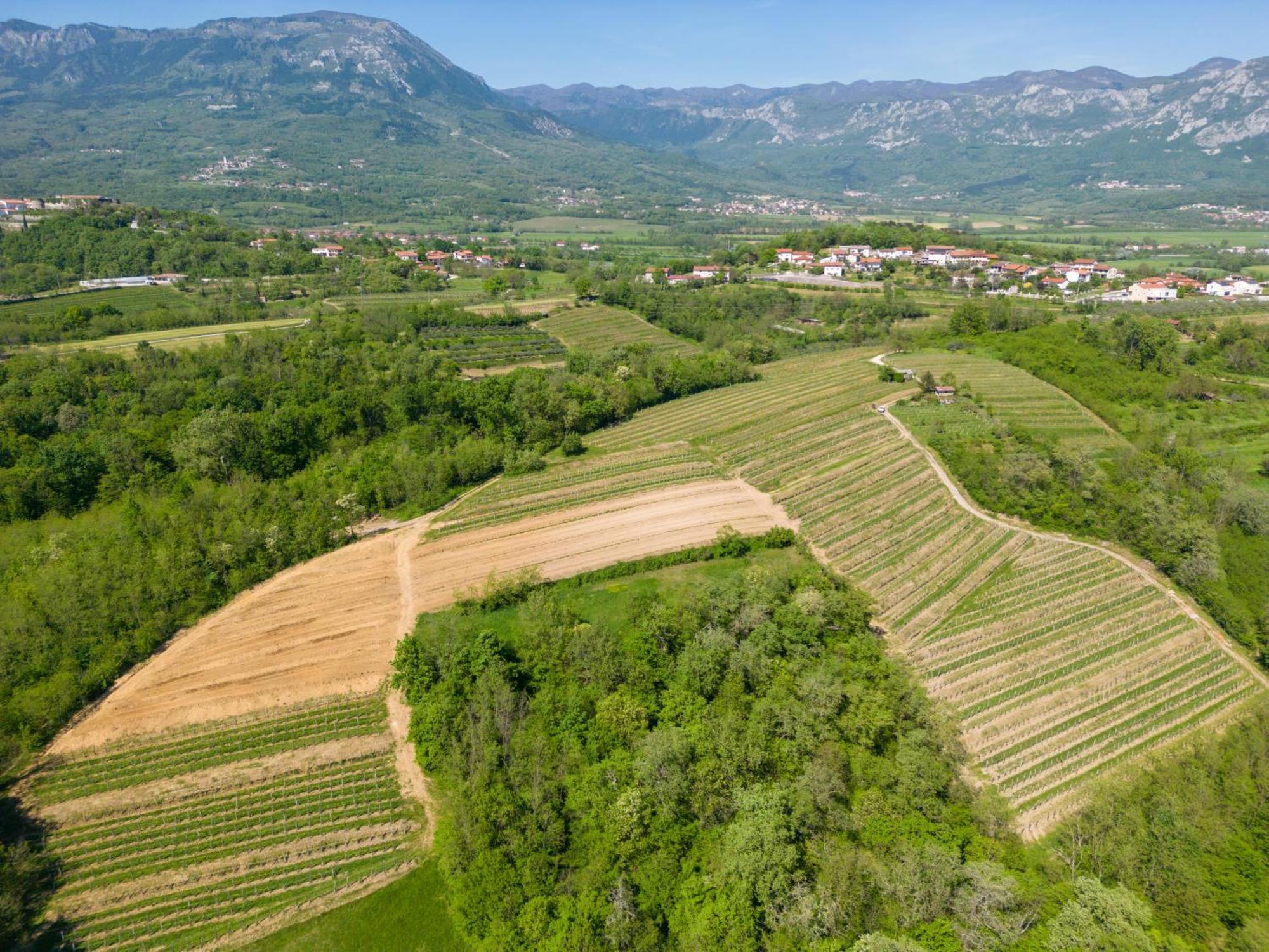 Apartma Valic Ajdovščina المظهر الخارجي الصورة